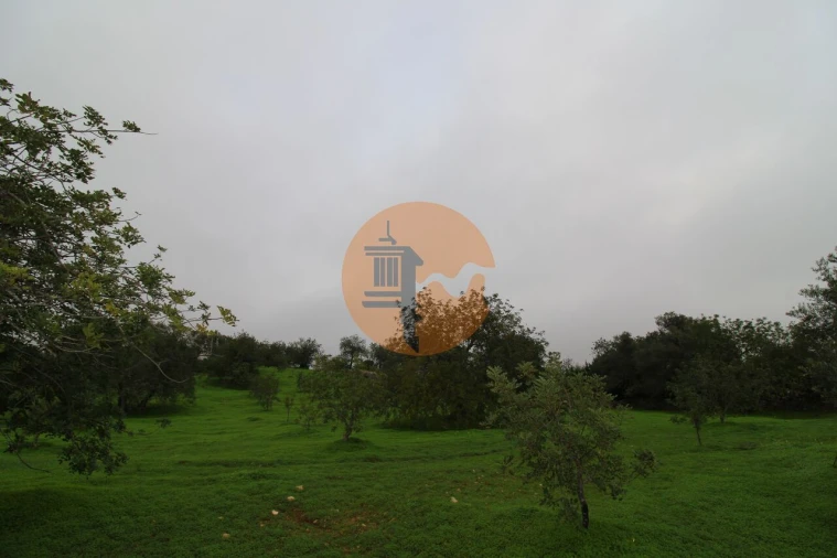 Terreno para Venda em Luz de Tavira e Santo Estêvão Foto 19