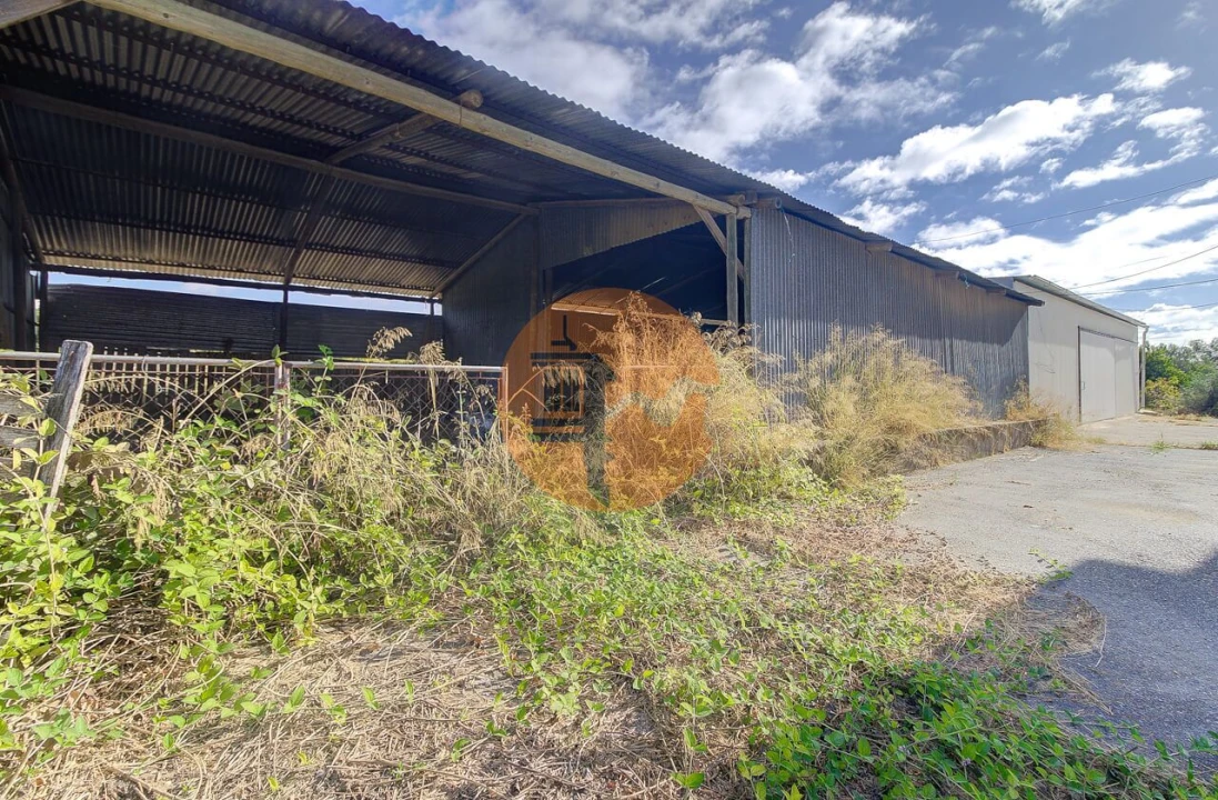 Quinta T3 para Venda em Tavira (Santa Maria e Santiago) Foto 6