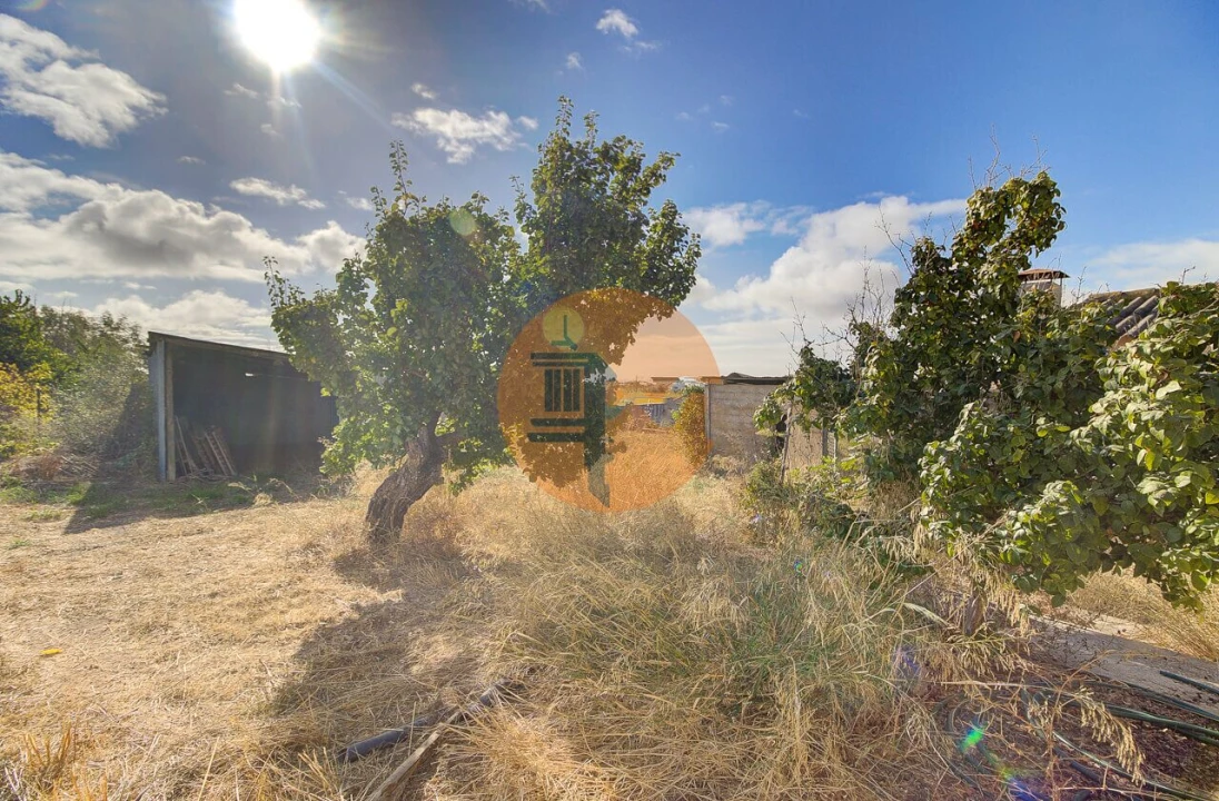 Quinta T3 para Venda em Tavira (Santa Maria e Santiago) Foto 12