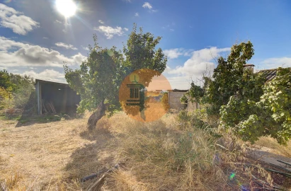 Quinta T3 para Venda em Tavira (Santa Maria e Santiago)