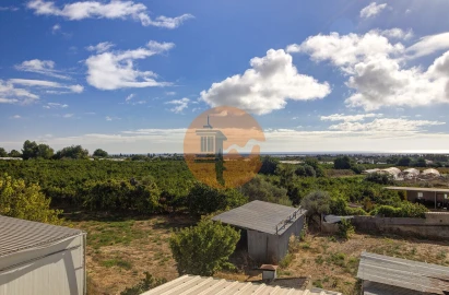 Quinta T3 para Venda em Tavira (Santa Maria e Santiago)