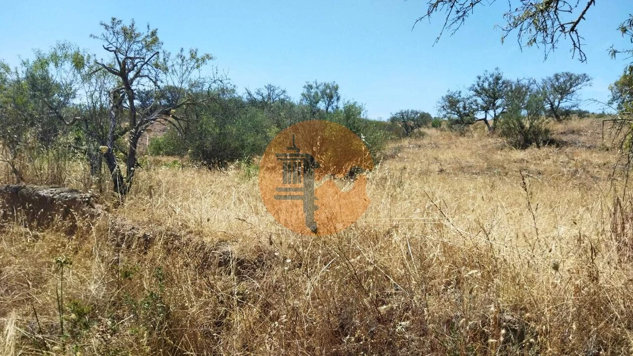 Terreno para Venda em Alcoutim e Pereiro Foto 6