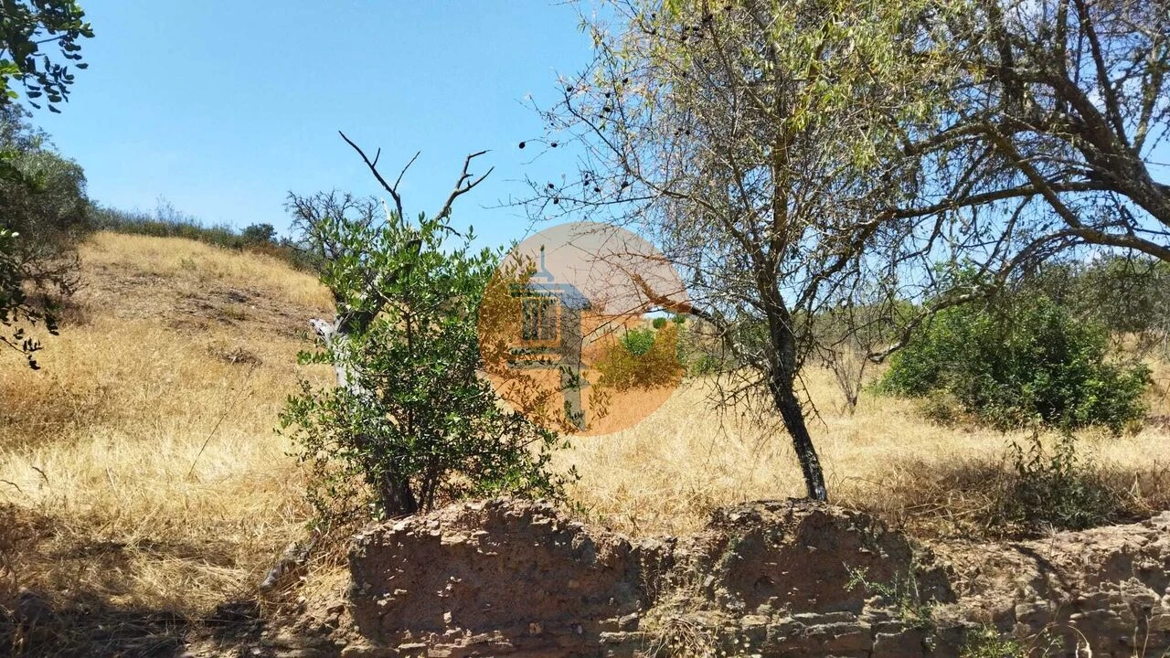 Terreno para Venda em Alcoutim e Pereiro Foto 23
