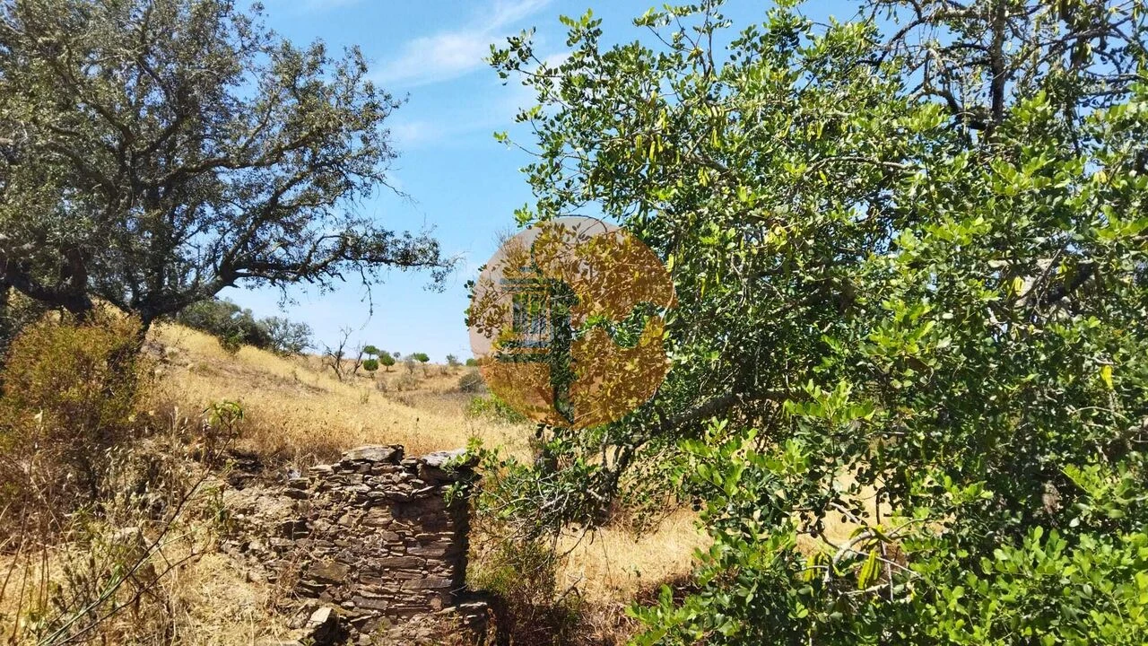 Terreno para Venda em Alcoutim e Pereiro Foto 42