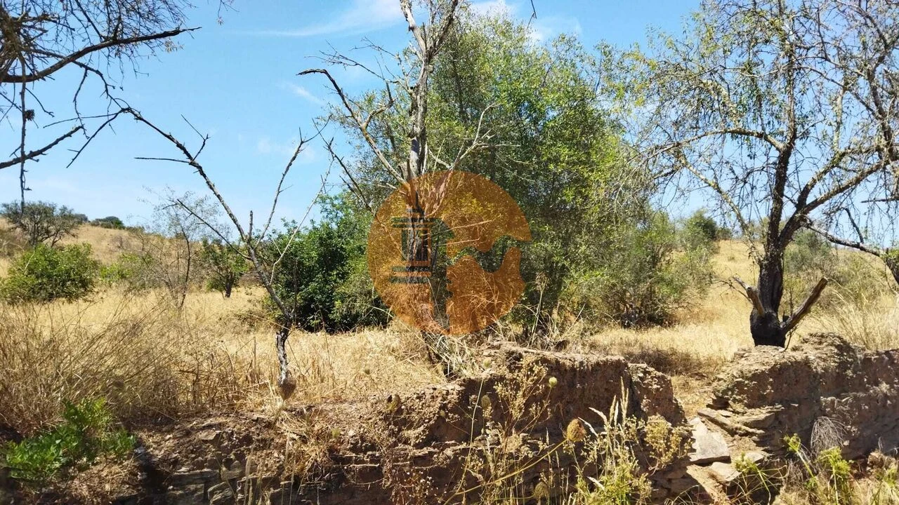Terreno para Venda em Alcoutim e Pereiro Foto 4