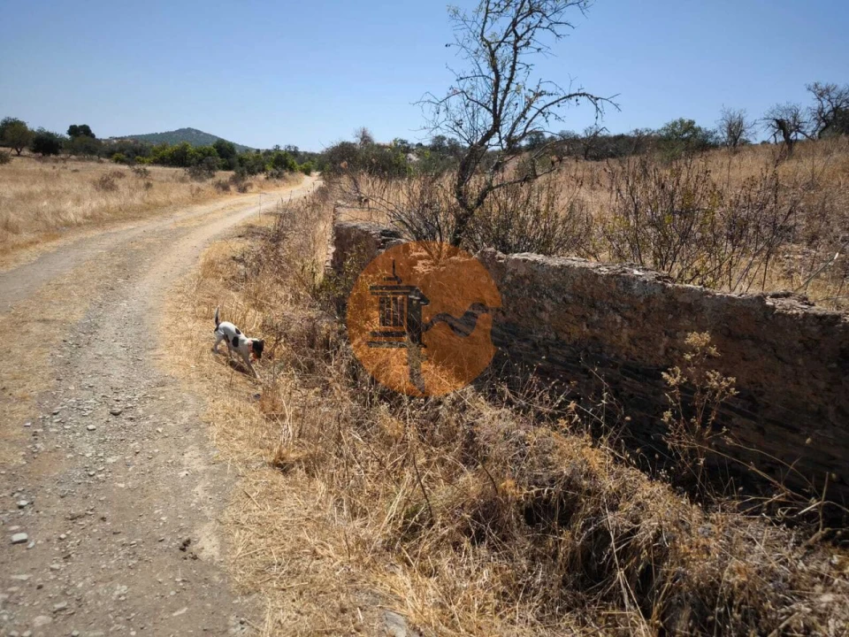 Terreno para Venda em Alcoutim e Pereiro Foto 1