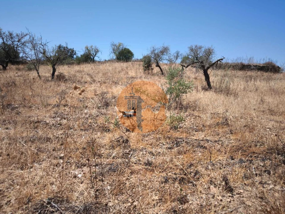 Terreno para Venda em Alcoutim e Pereiro Foto 19