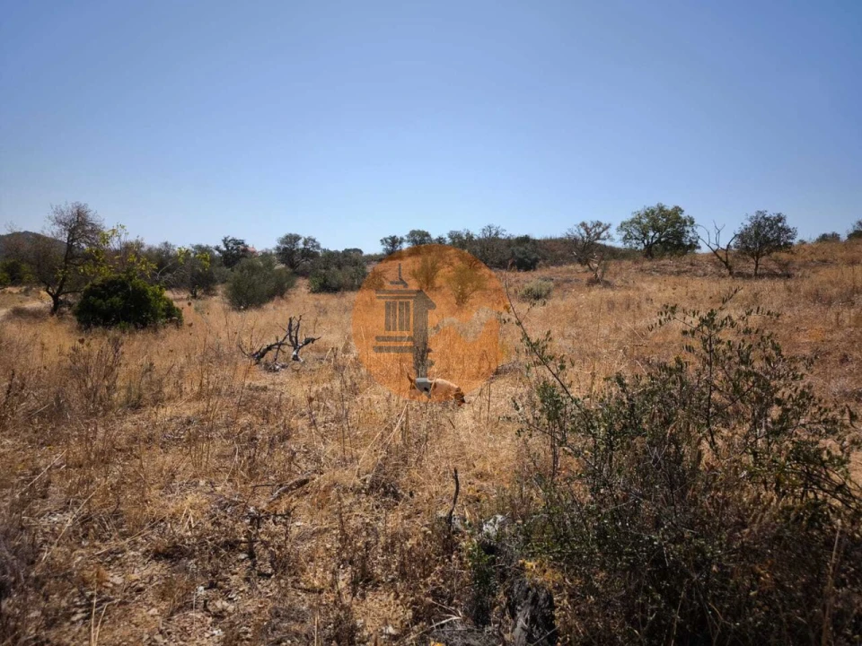 Terreno para Venda em Alcoutim e Pereiro Foto 21
