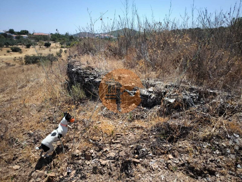 Terreno para Venda em Alcoutim e Pereiro Foto 29