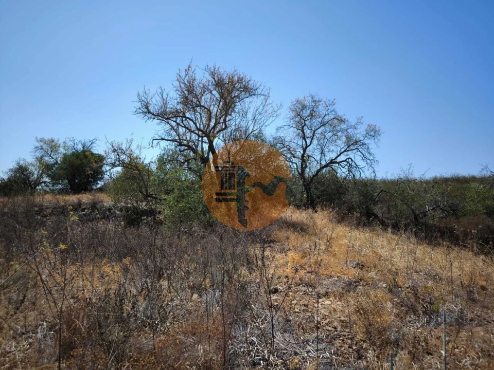 Terreno para Venda em Alcoutim e Pereiro Foto 31