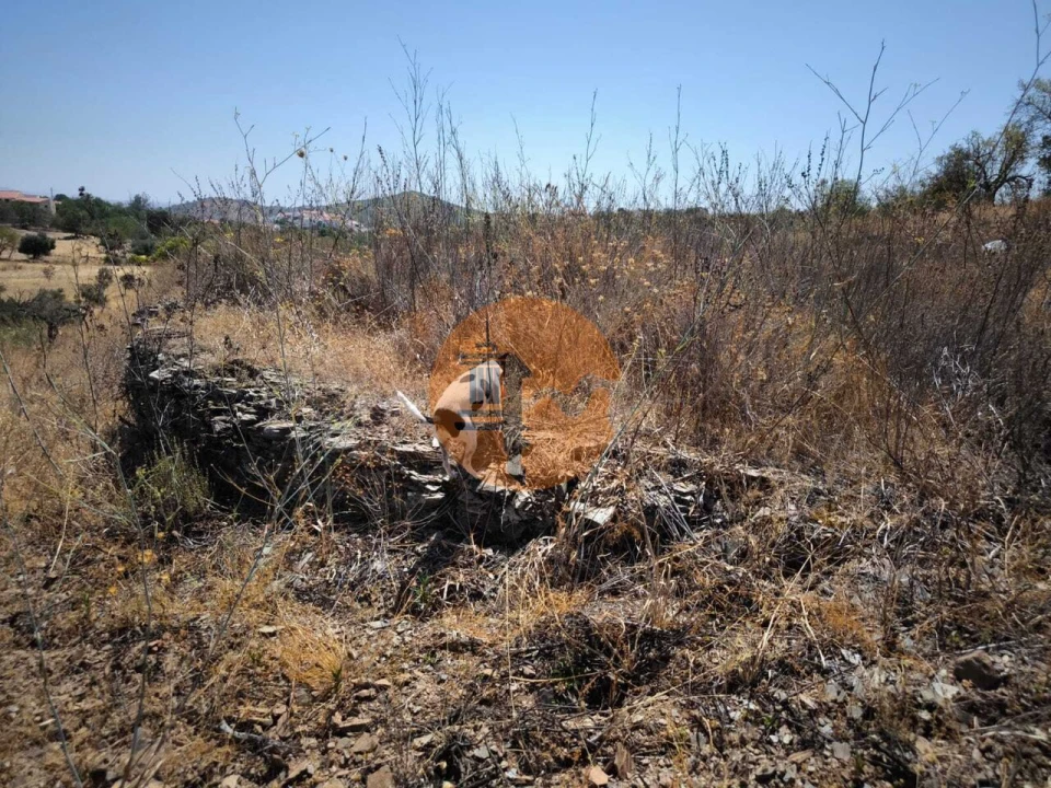 Terreno para Venda em Alcoutim e Pereiro Foto 33