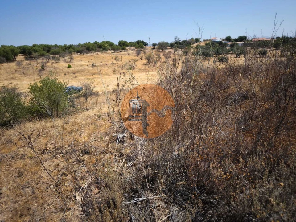 Terreno para Venda em Alcoutim e Pereiro Foto 34