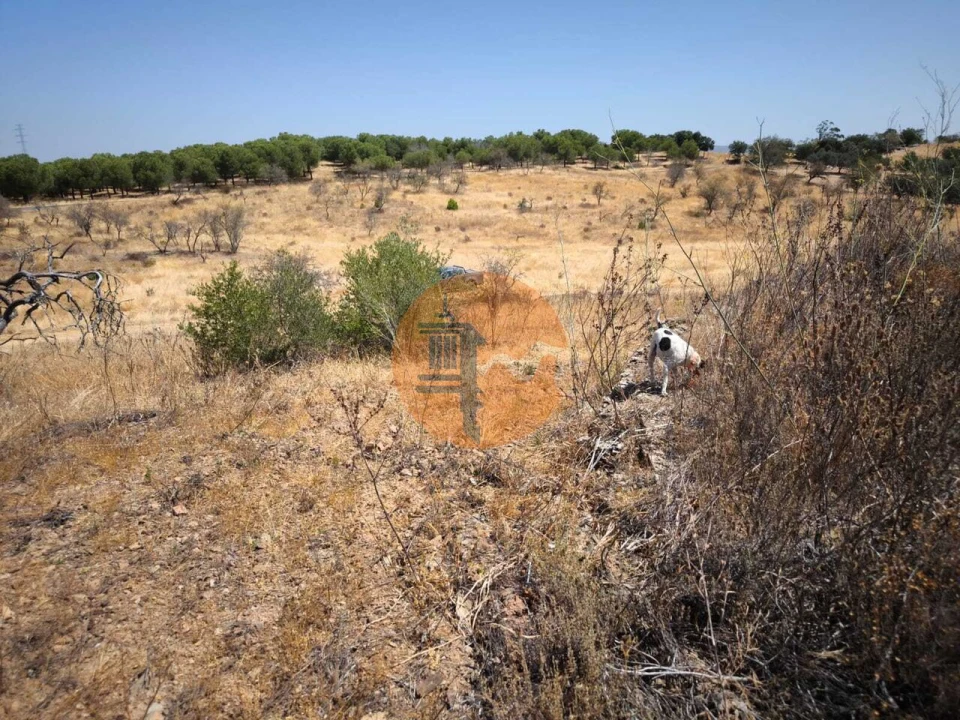 Terreno para Venda em Alcoutim e Pereiro Foto 35