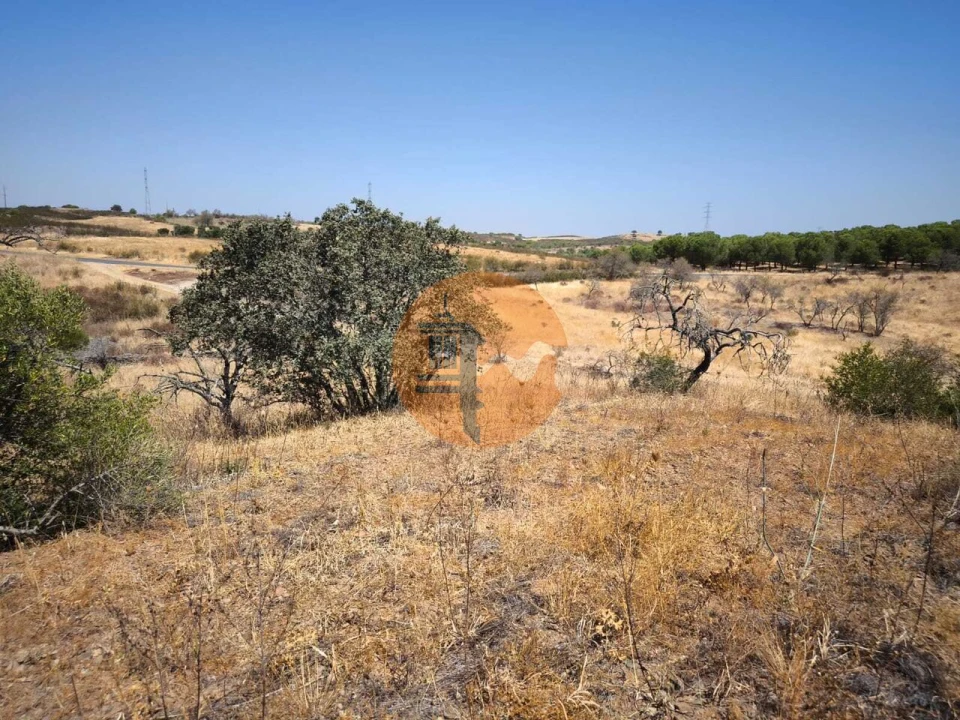 Terreno para Venda em Alcoutim e Pereiro Foto 40