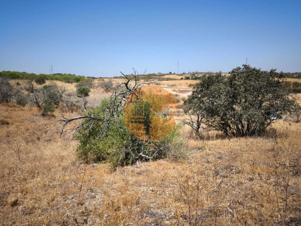 Terreno para Venda em Alcoutim e Pereiro Foto 41