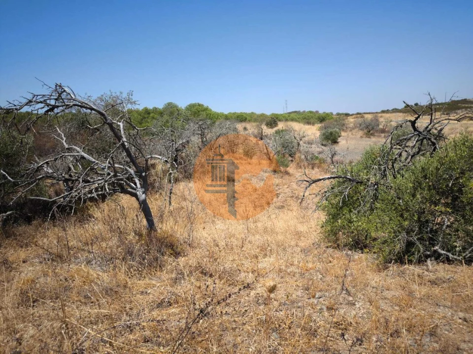 Terreno para Venda em Alcoutim e Pereiro Foto 43