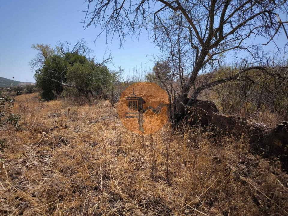 Terreno para Venda em Alcoutim e Pereiro Foto 45