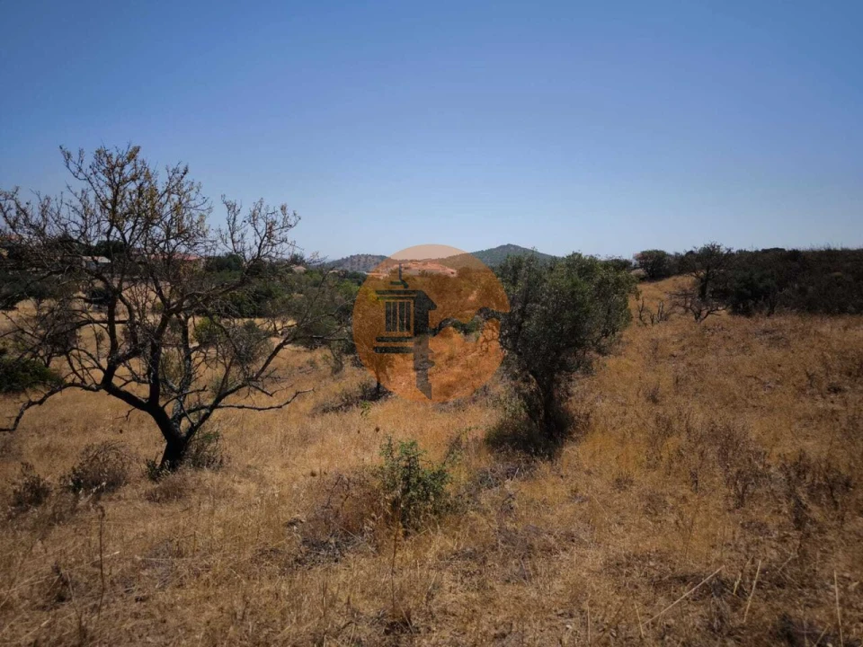Terreno para Venda em Alcoutim e Pereiro Foto 47