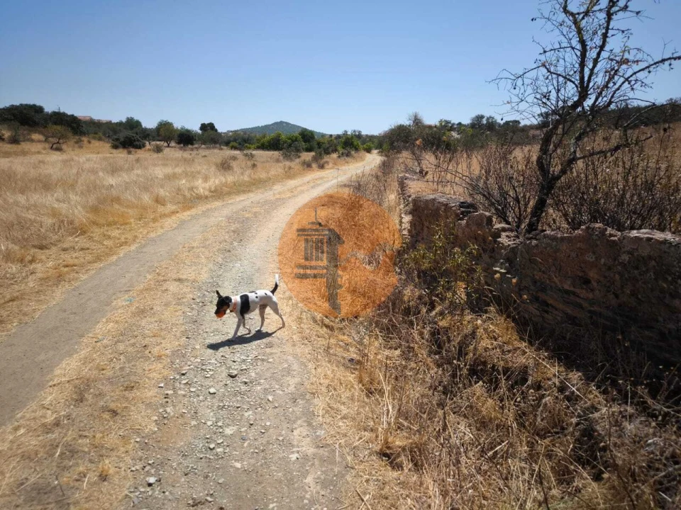 Terreno para Venda em Alcoutim e Pereiro Foto 52