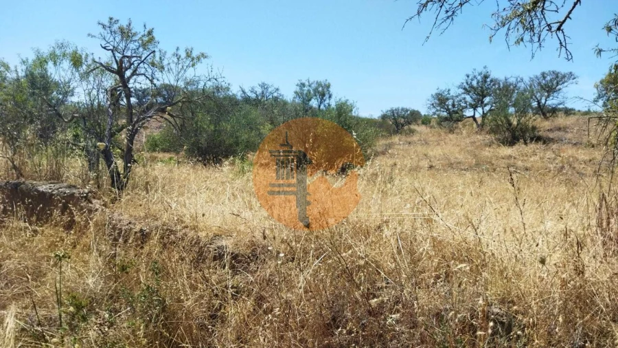Terreno para Venda em Alcoutim e Pereiro Foto 6
