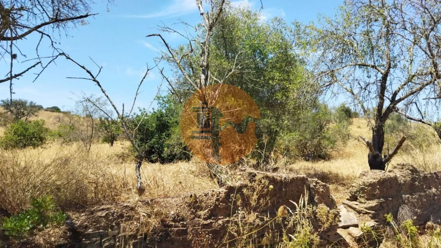 Terreno para Venda em Alcoutim e Pereiro Foto 4