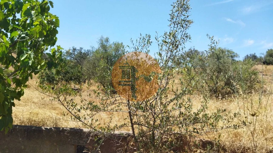Terreno para Venda em Alcoutim e Pereiro Foto 5