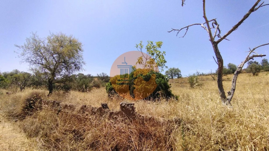 Terreno para Venda em Alcoutim e Pereiro Foto 11