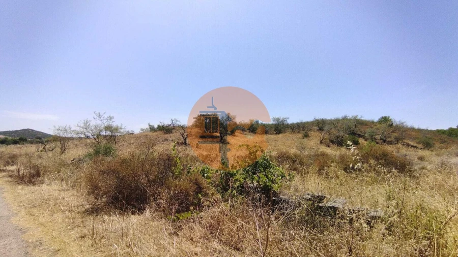 Terreno para Venda em Alcoutim e Pereiro Foto 12