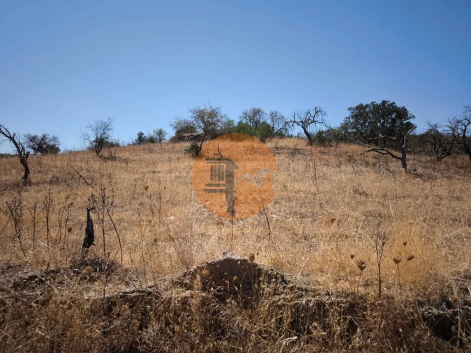Terreno para Venda em Alcoutim e Pereiro Foto 15