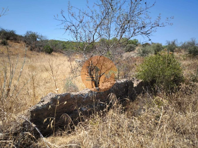 Terreno para Venda em Alcoutim e Pereiro Foto 16