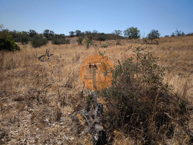 Terreno para Venda em Alcoutim e Pereiro Foto 17