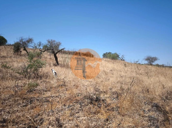 Terreno para Venda em Alcoutim e Pereiro Foto 18