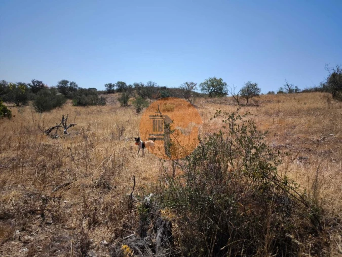 Terreno para Venda em Alcoutim e Pereiro Foto 22