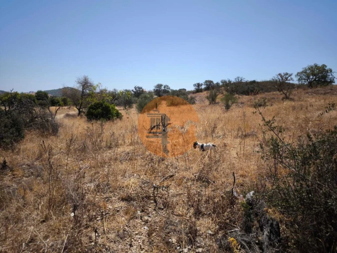 Terreno para Venda em Alcoutim e Pereiro Foto 24