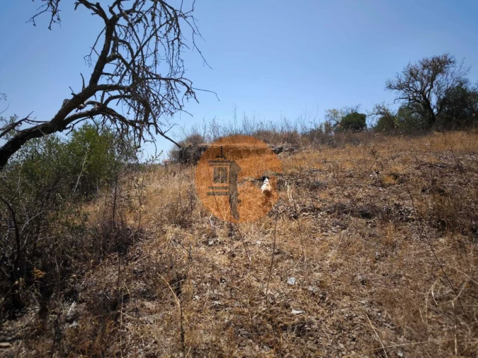 Terreno para Venda em Alcoutim e Pereiro Foto 26