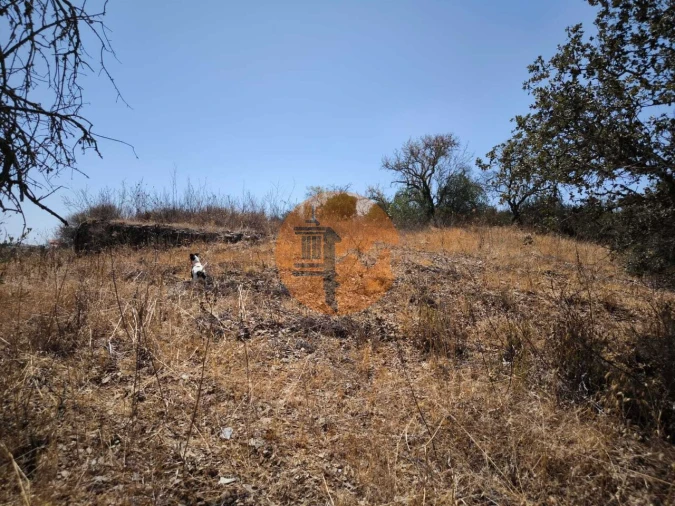 Terreno para Venda em Alcoutim e Pereiro Foto 27