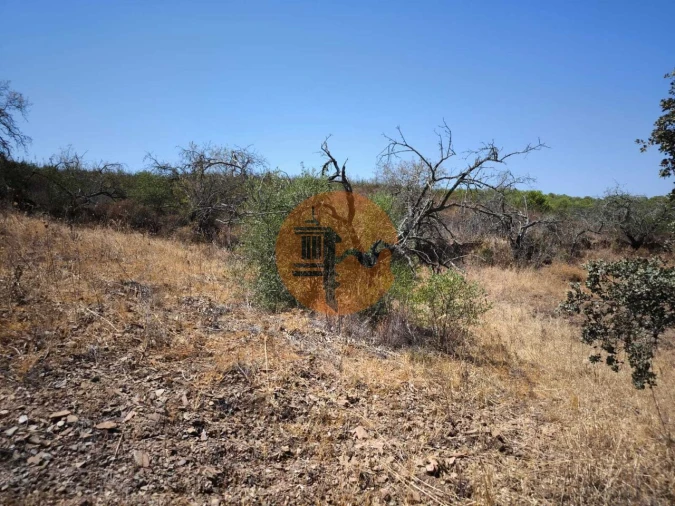 Terreno para Venda em Alcoutim e Pereiro Foto 30