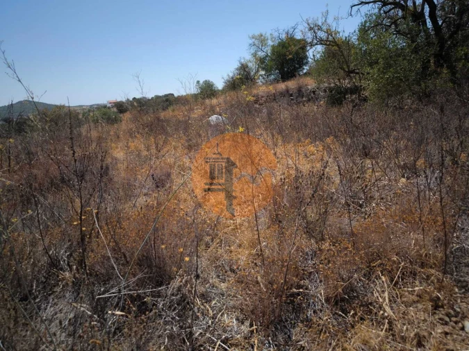 Terreno para Venda em Alcoutim e Pereiro Foto 32