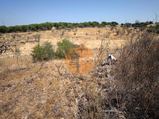 Terreno para Venda em Alcoutim e Pereiro Foto 35