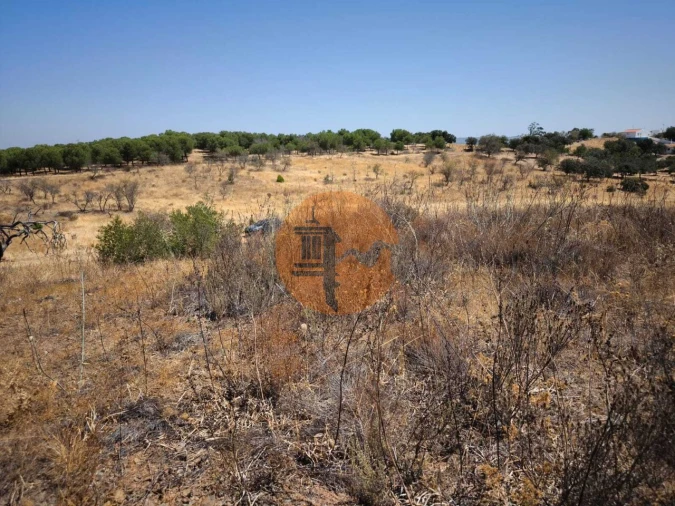 Terreno para Venda em Alcoutim e Pereiro Foto 38