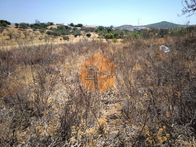 Terreno para Venda em Alcoutim e Pereiro Foto 39