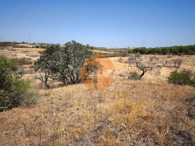 Terreno para Venda em Alcoutim e Pereiro Foto 40