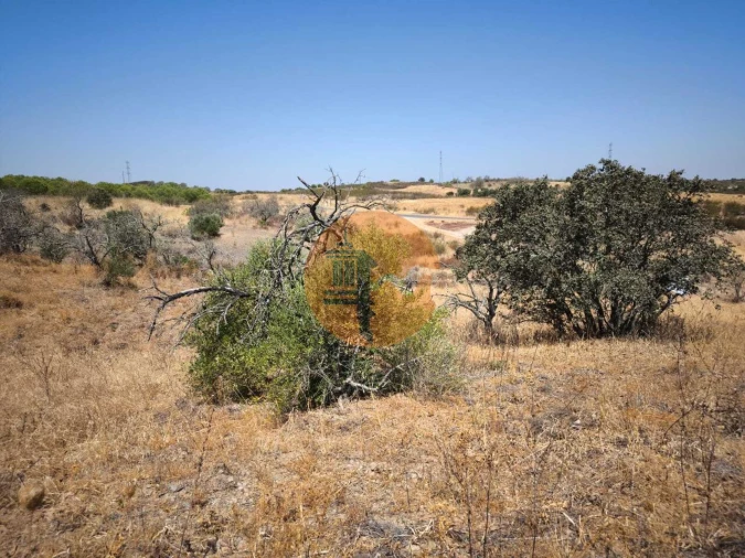Terreno para Venda em Alcoutim e Pereiro Foto 41