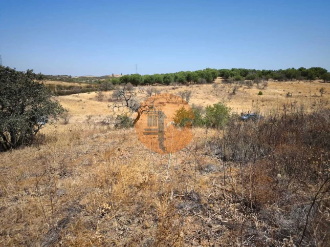 Terreno para Venda em Alcoutim e Pereiro Foto 46