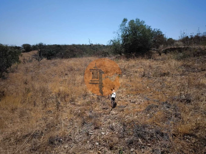 Terreno para Venda em Alcoutim e Pereiro Foto 48
