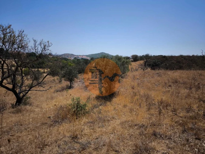 Terreno para Venda em Alcoutim e Pereiro Foto 51