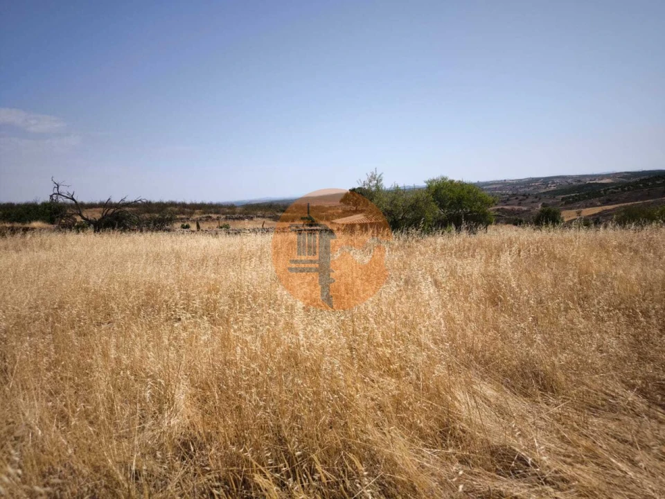 Terreno para Venda em Alcoutim e Pereiro Foto 6
