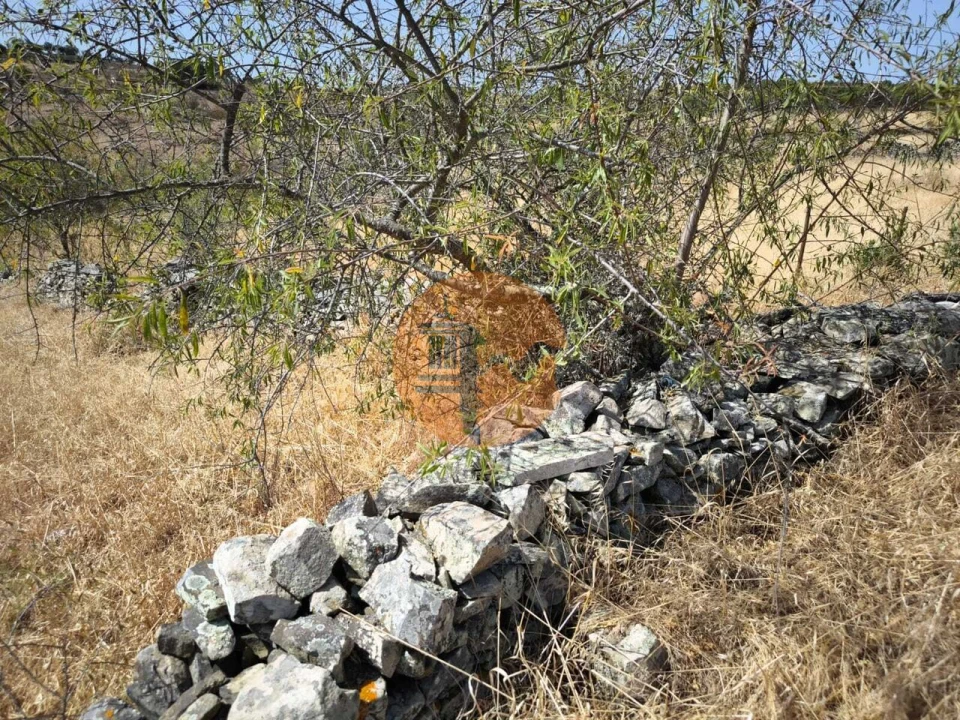 Terreno para Venda em Alcoutim e Pereiro Foto 10