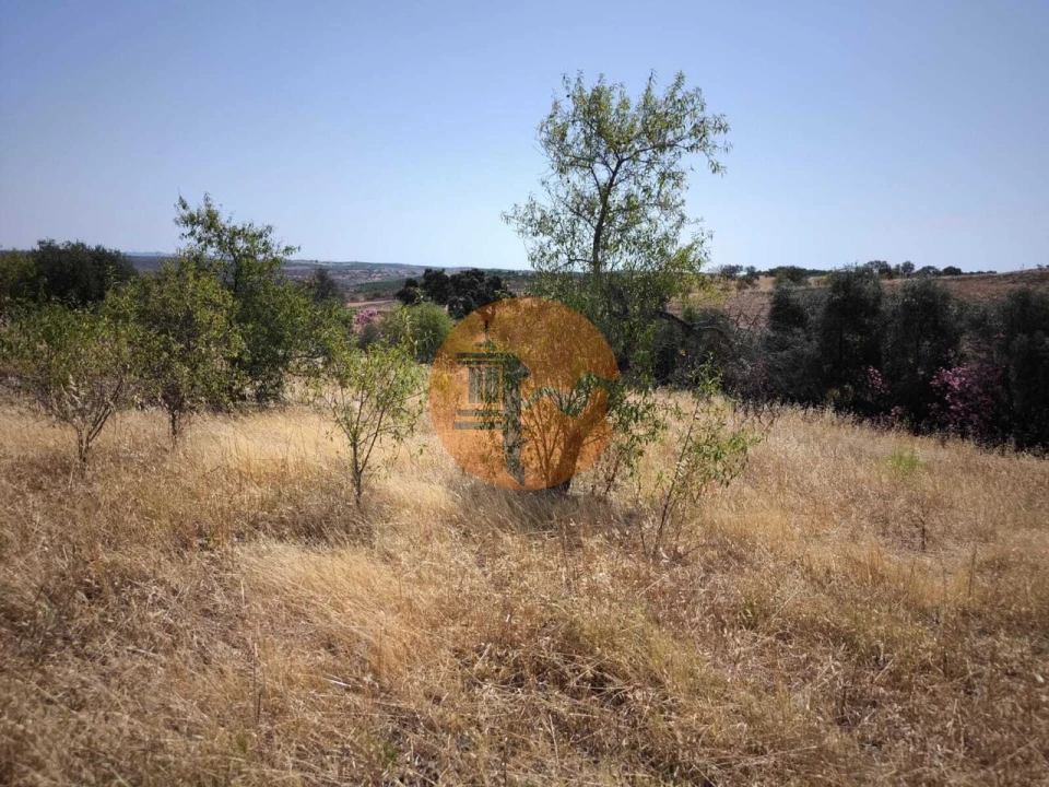Terreno para Venda em Alcoutim e Pereiro Foto 12