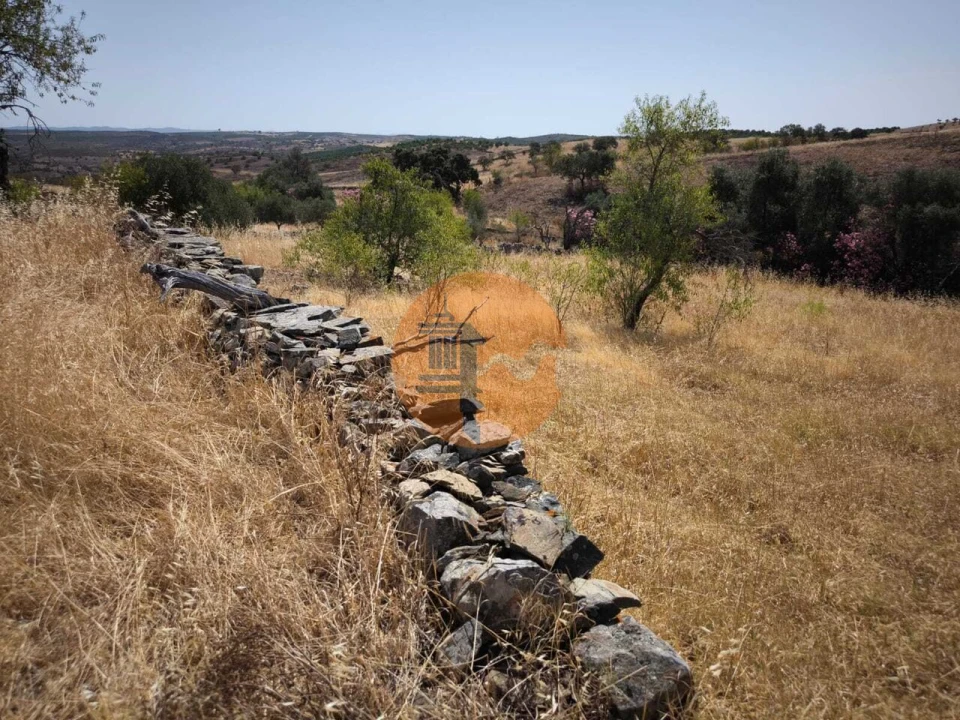Terreno para Venda em Alcoutim e Pereiro Foto 14